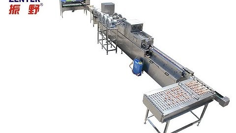 ZENYER 301A egg processing line with 605G Accumulator 5000 eggs/hour