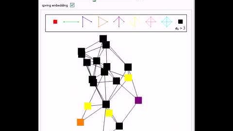 Isomorphic Types on Graphs: 1-Neighborhood Random Graphs