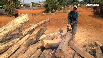 Xẻ gỗ bằng máy cưa MS 660