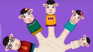 The Finger Family Song Sheep Finger Family Daddy Finger Song Cartoon Animation Video For Kids