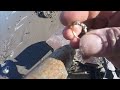 Beach Metal Detecting New Hampshire in search of shiny gold things