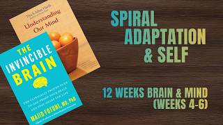 Spiral, Adaptation &amp; Self | 12-Week Brain &amp; Mind Practice (Weeks 4-6)