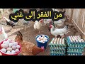 مشروع دجاج يغنيك من الفقر إلى الثراء بدون شك ستصبح أول الأغنياء تربية الدجاج البلدي Tarbiat Dajaj