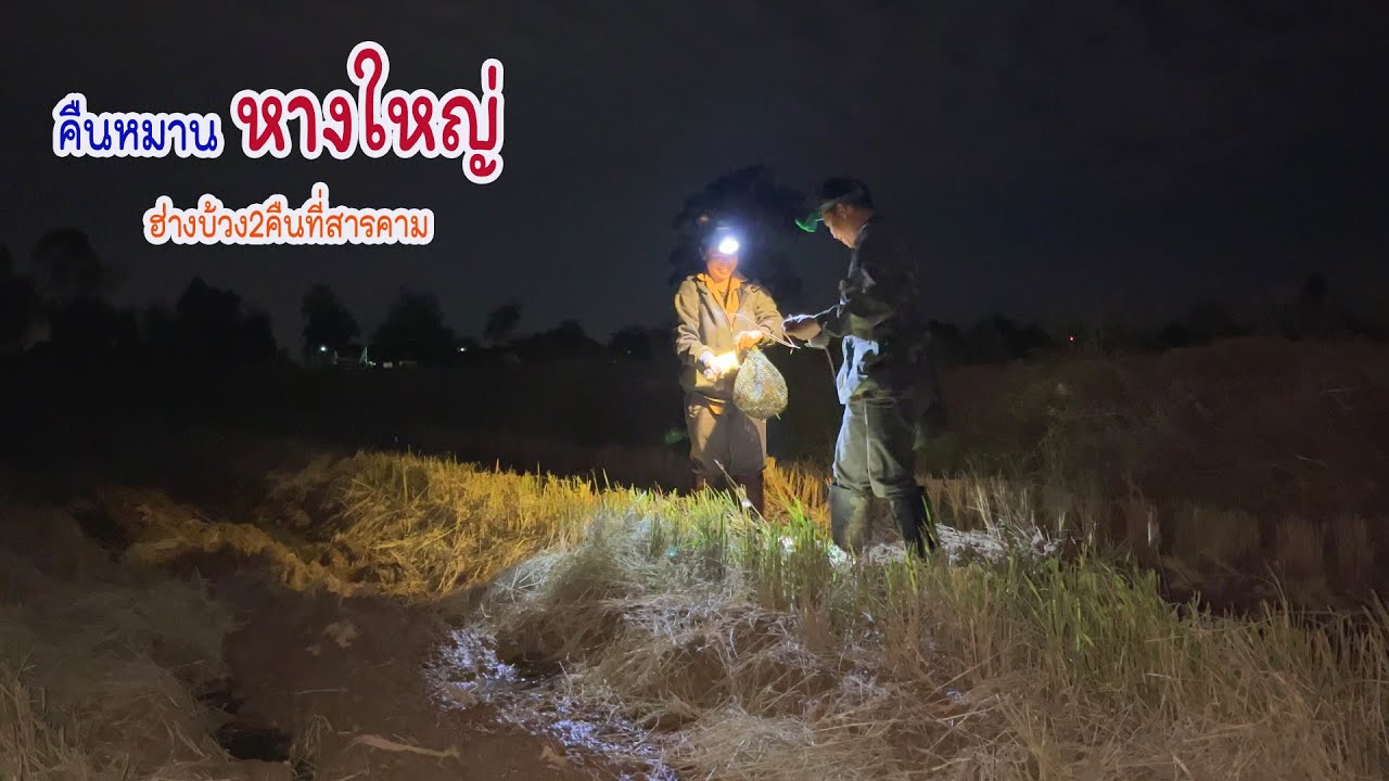 EP1 ฮ่างบ้วง 2 คืนที่มหาสารคามหมายหางใหญ่