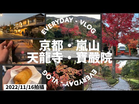 【日本旅遊】京都旅遊 楓葉季節???? 京都 嵐山 天龍寺 寶嚴院 楓葉 夜楓 一個人旅行????20221116拍攝