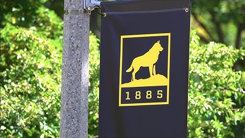 ICC Research in Brief