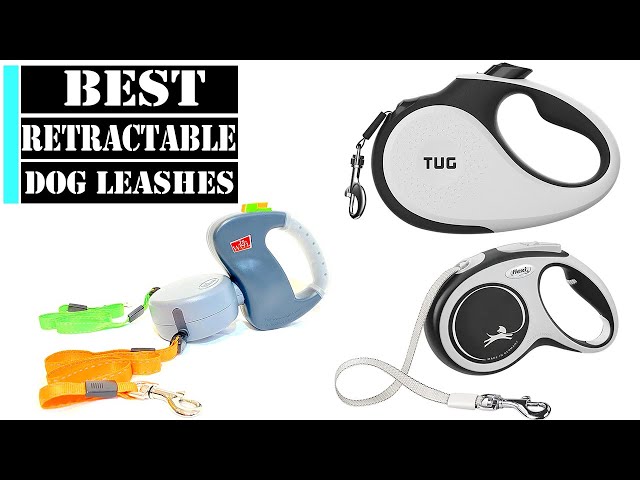 The 11 Best Retractable Dog Leashes for 2023 - PureWow