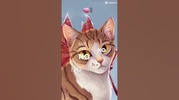 Does LeafPool still like CrowFeather? Or not? ~ #warriorcats #leafpool #shorts