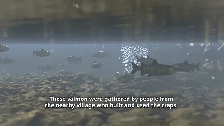Intertidal Fish Traps Unnamed Beach and Fern Point branded