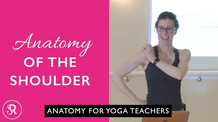 Learn Yoga Anatomy: Anatomy of the Shoulder for Yoga Teachers - DayDayNews