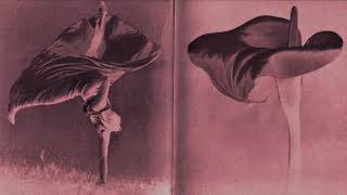 Watch Cocteau Twins Alas Dies Laughing video