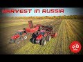 Efficient sugar beet harvest in Russia