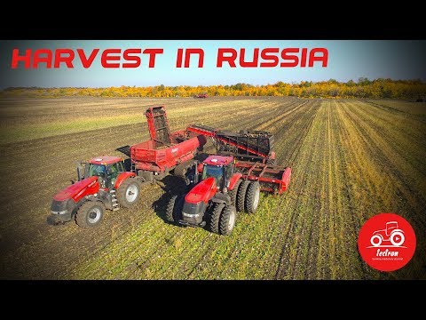 Video: Groei beet in Rusland?