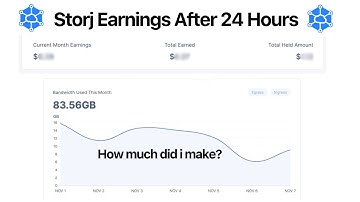 Storj NODE after the first 24 hours! How much $ did i make?