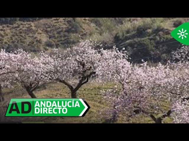 La báscula - Canal Sur - Enrique Sánchez, antes y después. Un total de 25  kilos perdidos. Ejemplo perfecto de que el método de La Báscula funciona.  ¡Está estupendo!, ¿no os lo parece?