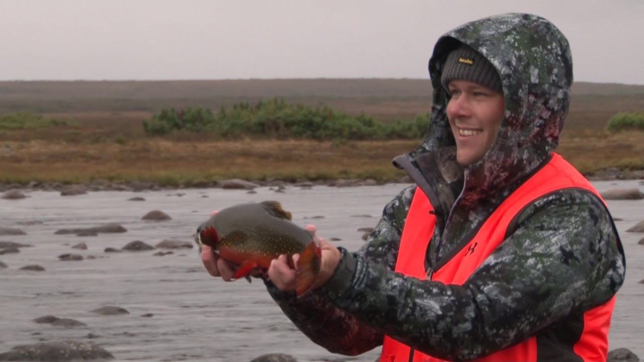 Giant Brook trout Fishing in Quebec YouTube