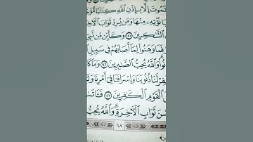 وما كان لنفس أن تموت إلا بإذن الله. #سورة_ال_عمران #مصحف_منيرة #مصحف_ابراهيم #مصحف_سليمان #مصحف_خالد