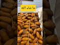 دقلة نور  ... الجزائر ... الله يبارك