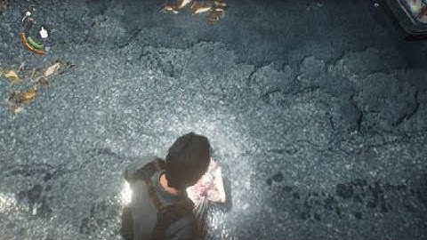 The Evil Within2 bug?