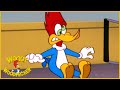 Woody Woodpecker Show | Inn Trouble | 1 Hour Compilation | Videos For Kids