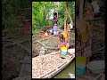 নৌকায় ঘুরে ঘুরে সংগ্ৰহ করছে আমের আঁটি #shihabofficial #shihab