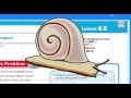 Understanding Decimal Multiplication