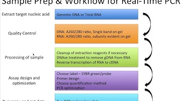 The qPCR Sample Preparation and Workflow