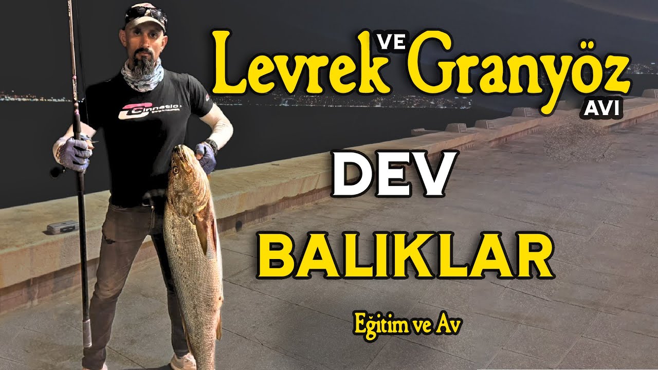 #Canlı Yemle #Levrek ve #Granyoz Avı | Live Bait Sea Bass & Jewfish Fishing