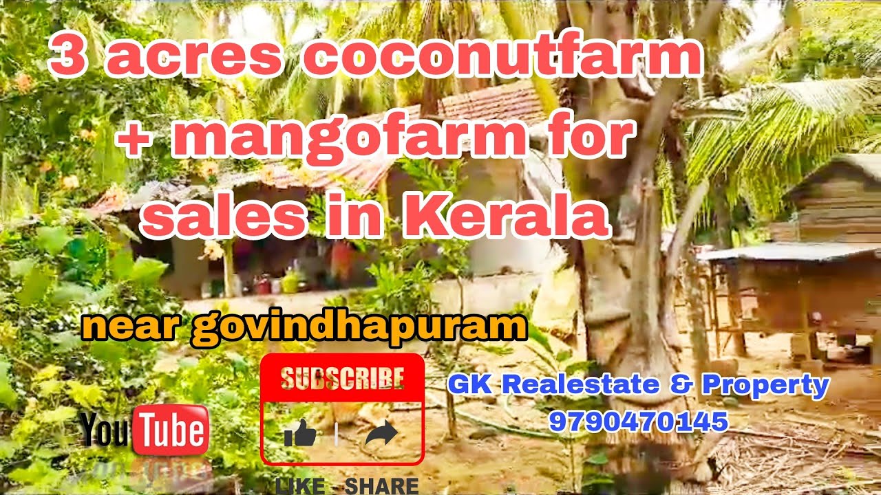 3 acres coconutfarm with tiled house for sales in Kerala YouTube