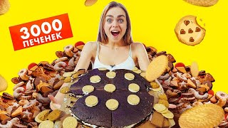 САМАЯ БОЛЬШАЯ ПЕЧЕНЬКА! 😲 ГОТОВЛЮ ДЕСЕРТ из 3000 ПЕЧЕНЕК!