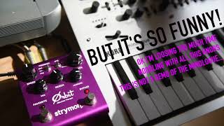 Strymon Orbit - DEMO - Synth: Teenage Engineering  OP1, Korg Monologue, Yamaha DX7, Bontempi organ