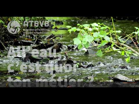 All'eau, c'est quoi ton métier ? - Technicien bocage