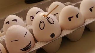 Howtobasic Egg Plush Video Wiki