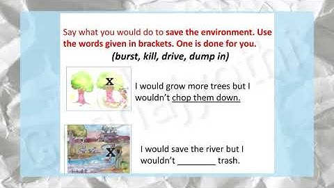 If a tree could talk (part 2)