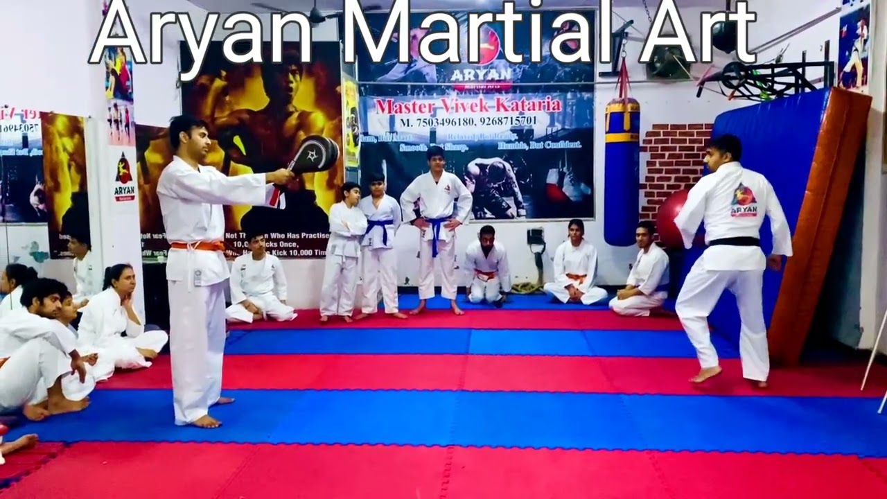 Aryan Karate Classes Dwarka Delhi 8368895643 / 7503496180 YouTube