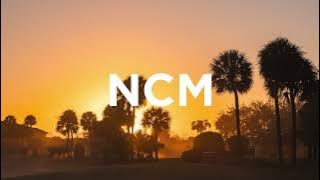 Morning Sun – Roa (NoCopyrightMusic)