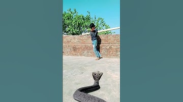 nagina trying video #shorts #viral #nagin