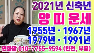 (2021년. 신축년. 양띠. 신년운세)양띠~변화.변동이 온다한들~ 맘 잘잡고 가시다보면 복이 온다 하네요.…