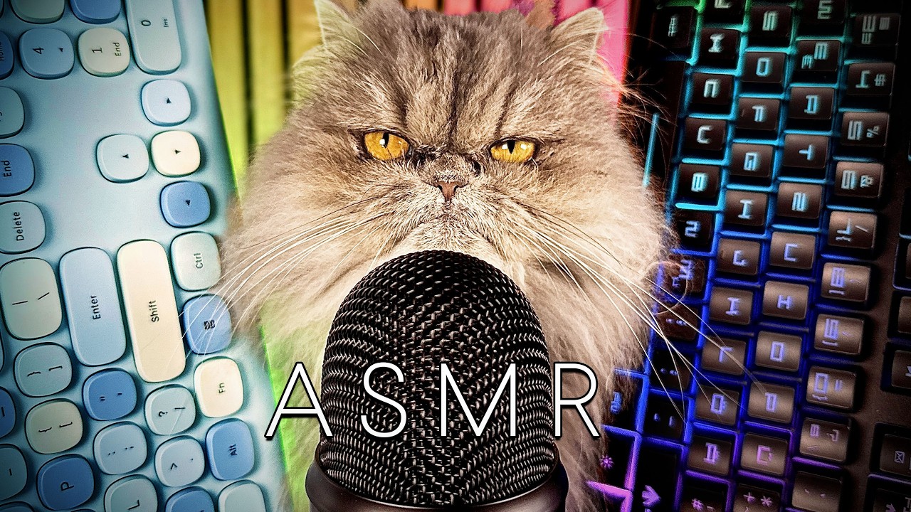 ASMR Keyboard | Cat Purrs and Sleeps While I Type | Relaxing Sounds for Sleep, Study & Focus