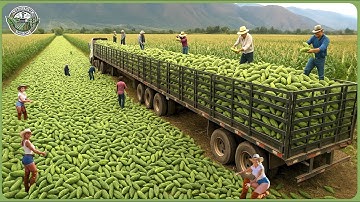 The 2025 Harvest Rush - How Farmers Reap 9.8 Billion Tons of Crops In Massive Harvests