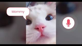 Happy pets - Pet translator, My talking pet screenshot 3