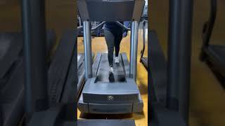 IMG 6516