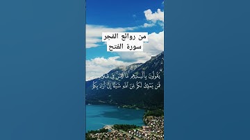 من روائع الفجر - سورة الفتح #تجويد #القرآن #ترتيل #القران #فلسطين #غزة #راحة_نفسية