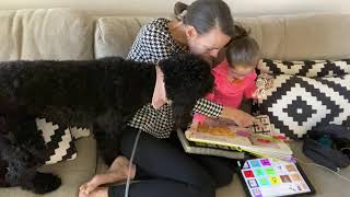 Reading a book and modeling PODD