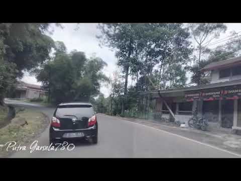 Daun Nona - Rita Tila