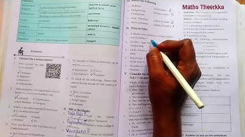 7th std Social science Term 1 | Unit 3 | Emergence Of New Kingdoms In South India