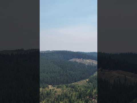 Timbered hills from above, North Idaho