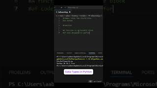 Python Functions – What They Are and How to Use Them!   Beginner's Guide!