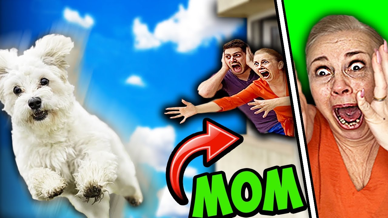 ESCAPING ANGRY MOM (Epic Parkour Chase in Paris)