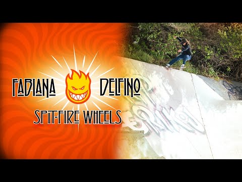 Fabiana Delfino's Spitfire Part